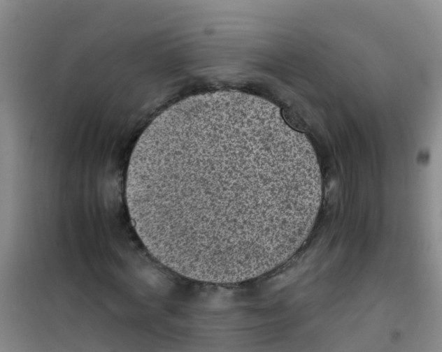 X0000100420772200807032100