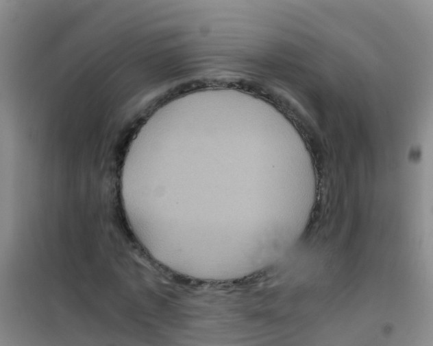 X0000100420773200807032100