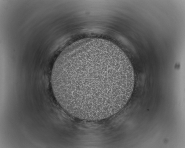 X0000100420774200807032100