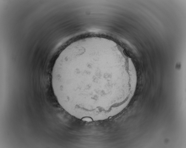 X0000100420776200807032100