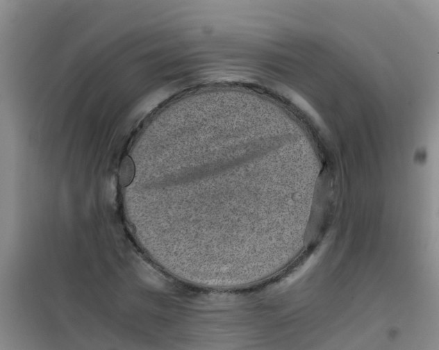 X0000100420777200807032100