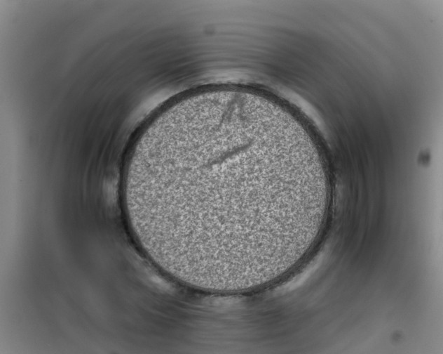 X0000100420778200807032100