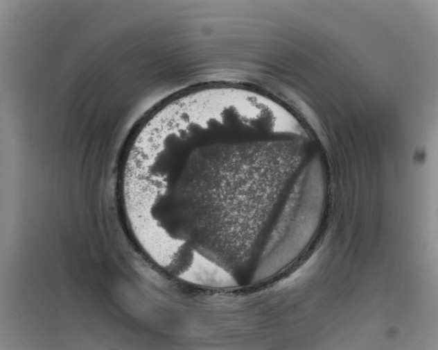 X0000100420779200807032100