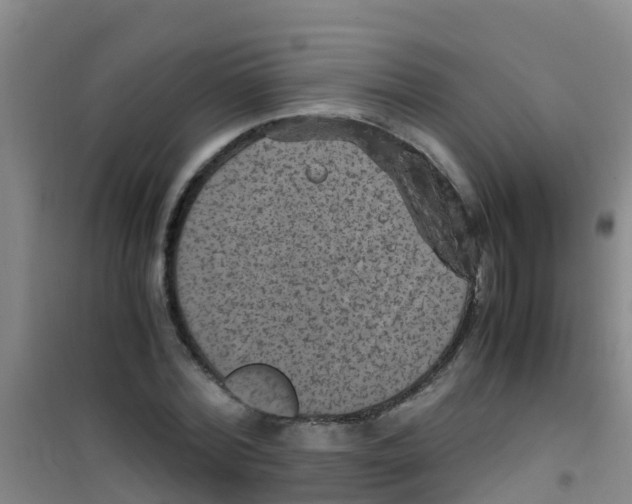 X0000100420780200807032100