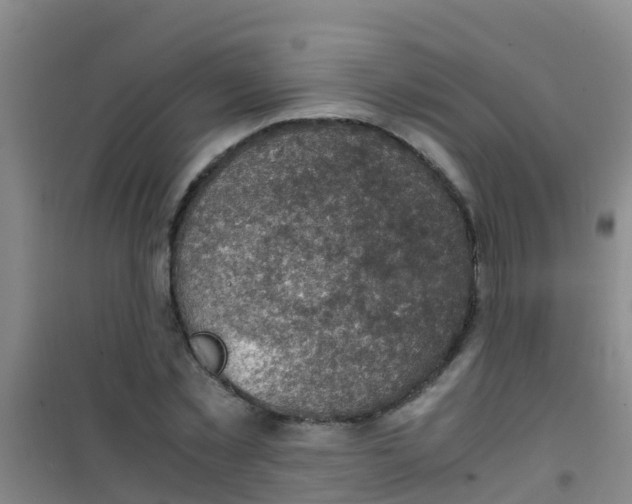 X0000100420781200807032100