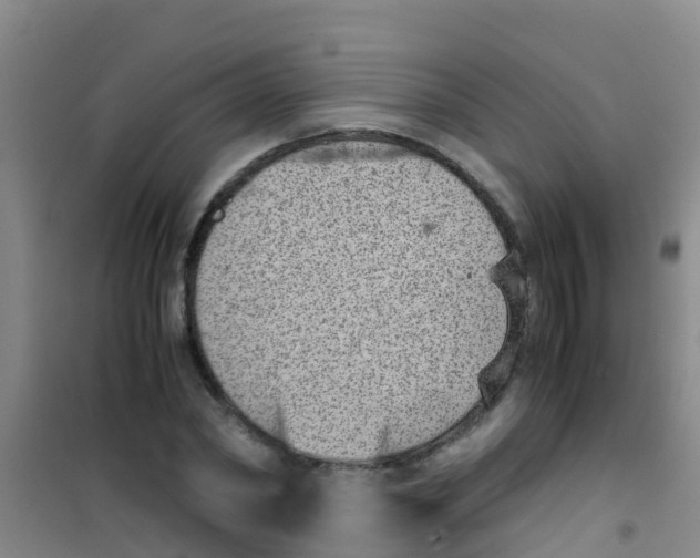 X0000100420782200807032100