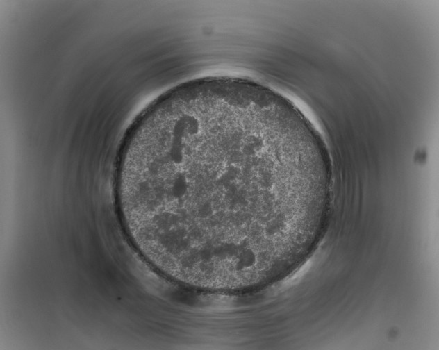 X0000100420783200807032100