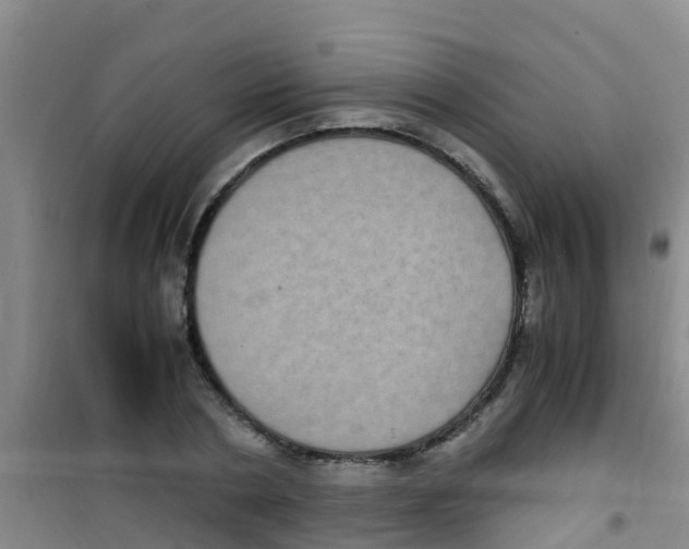 X0000100420786200807032100