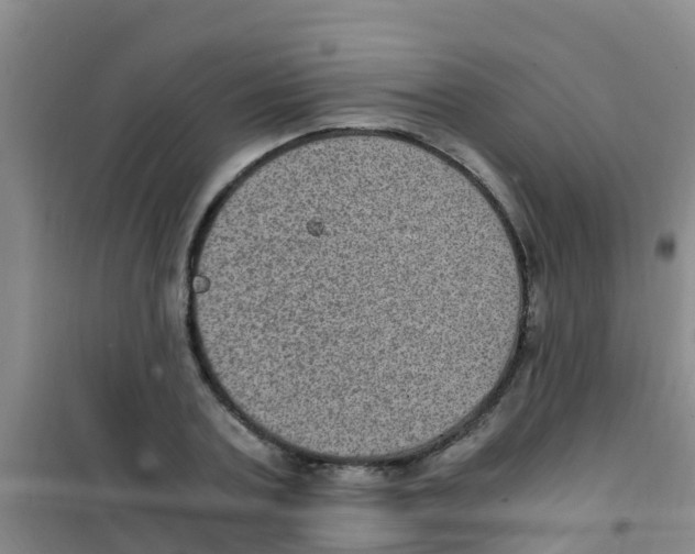 X0000100420787200807032100