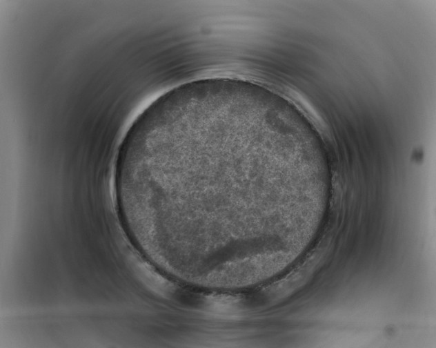 X0000100420788200807032100