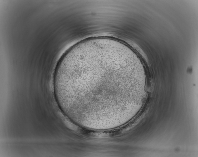 X0000100420789200807032100