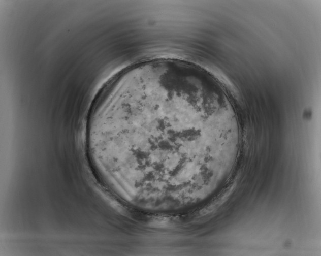 X0000100420790200807032100