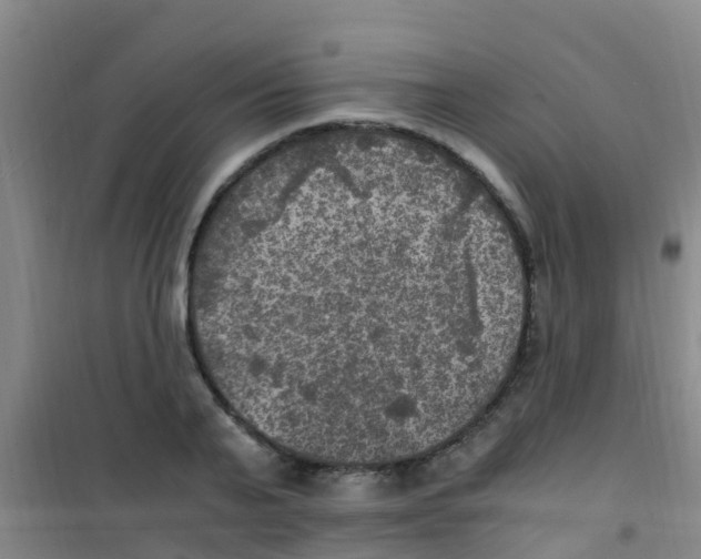 X0000100420791200807032100