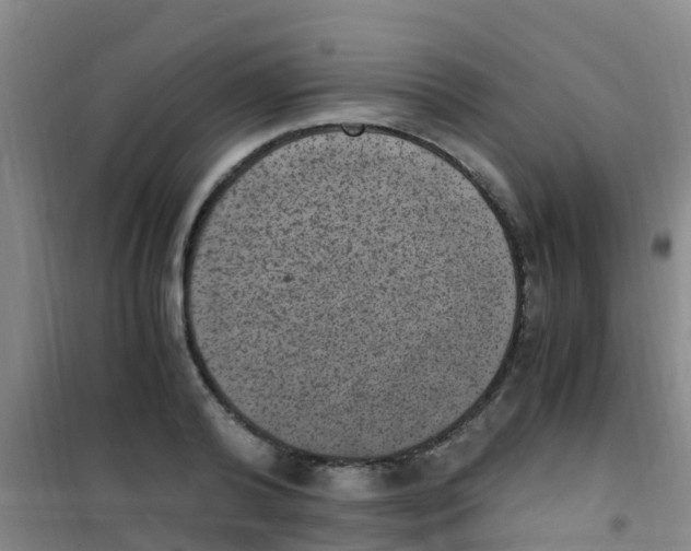 X0000100420792200807032059