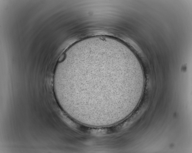 X0000100420793200807032059