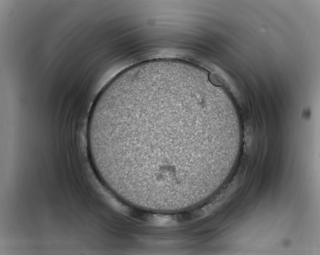 X0000100420794200807032059