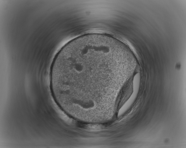 X0000100420795200807032059