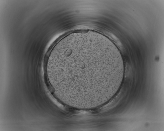 X0000100420796200807032059