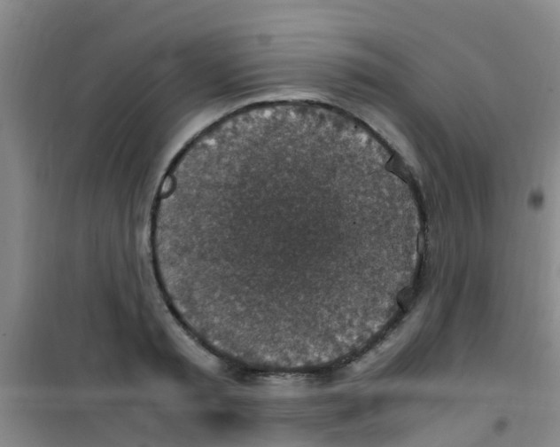 X0000100420797200807032059