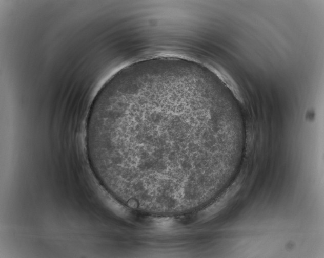 X0000100420798200807032059