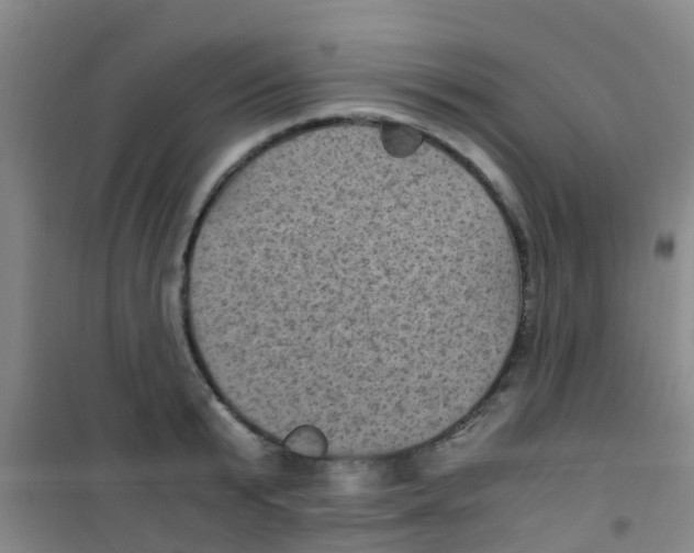 X0000100420799200807032059