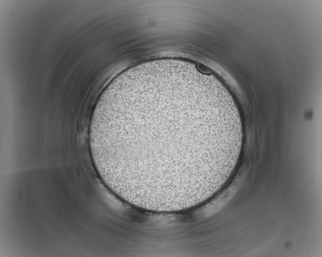 X0000100420801200807032059