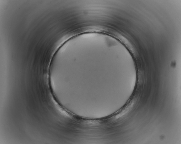 X0000100420802200807032059