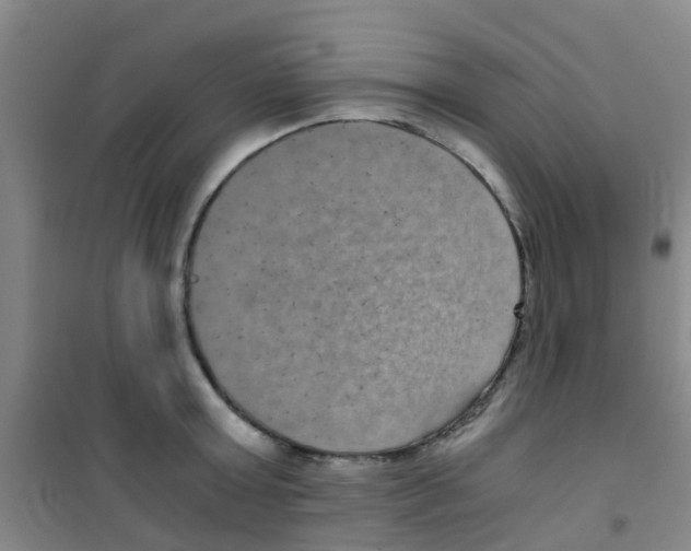 X0000100420803200807032059