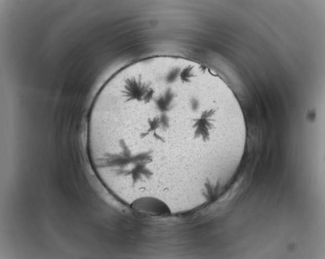 X0000100420804200807032059