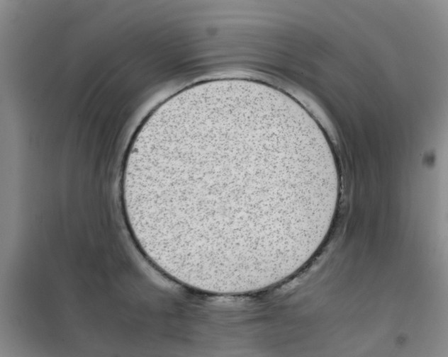 X0000100420805200807032059