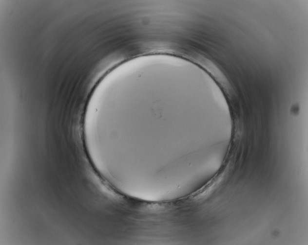 X0000100420806200807032059