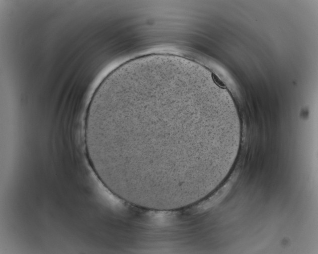 X0000100420808200807032059