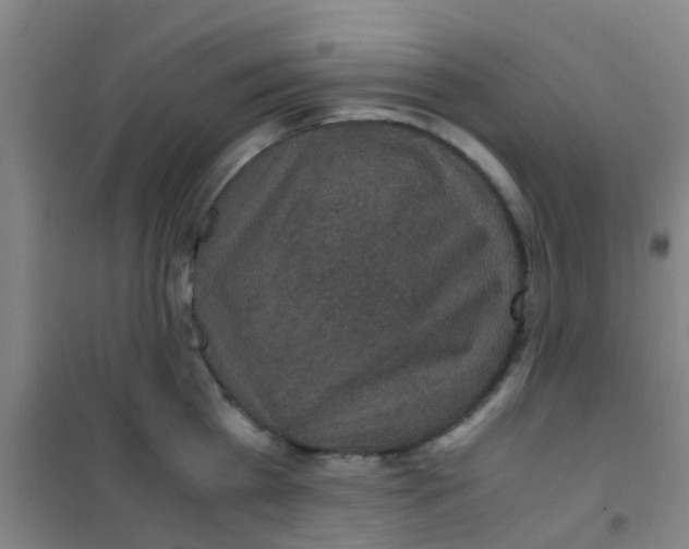 X0000100420809200807032059