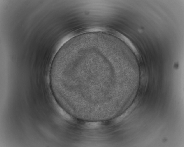 X0000100420810200807032059