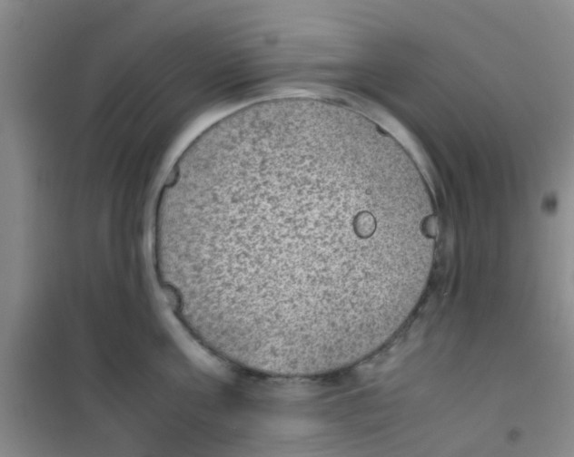 X0000100420811200807032059