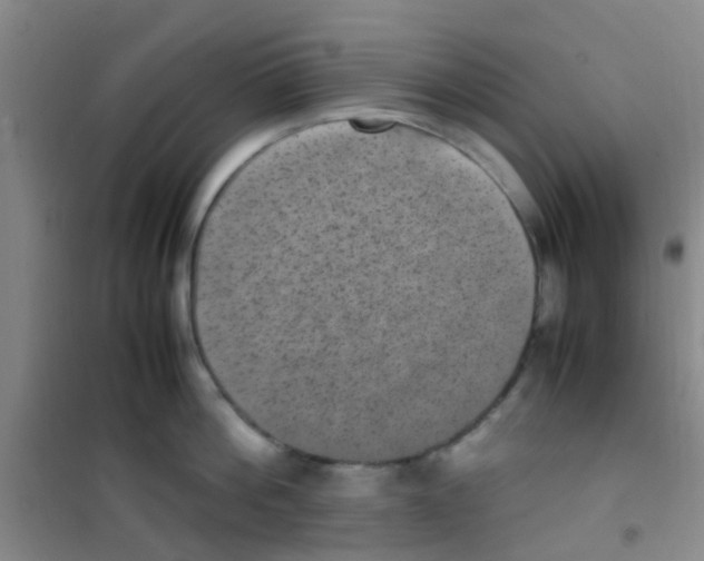 X0000100420812200807032059