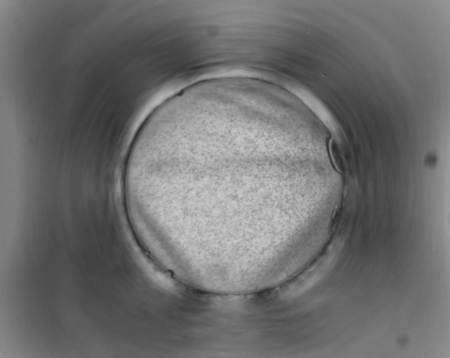 X0000100420813200807032059