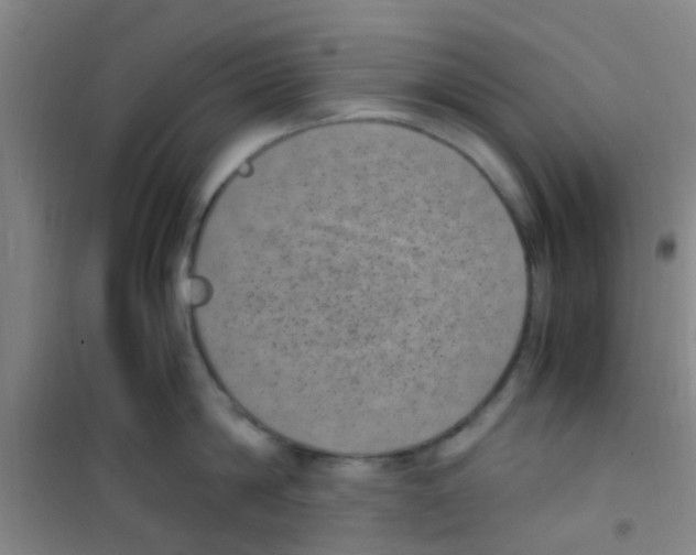 X0000100420814200807032059