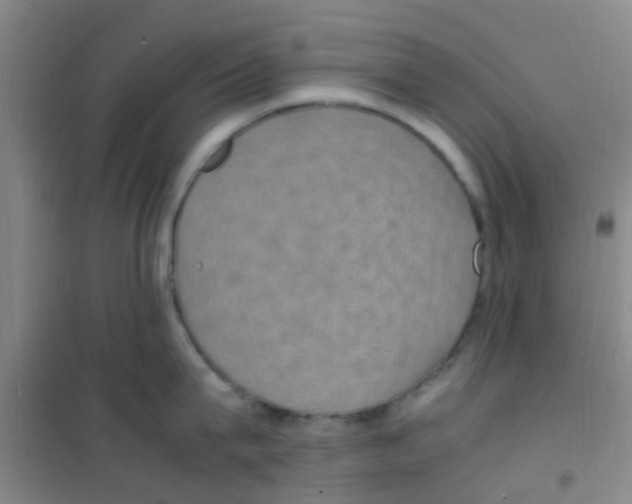 X0000100420815200807032059