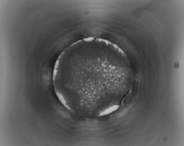 X0000100420818200807032059