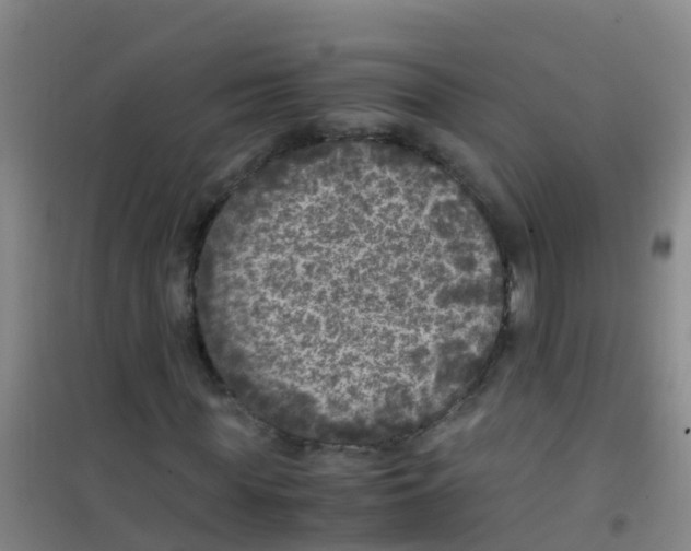 X0000100420819200807032059