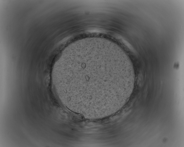 X0000100420821200807032059