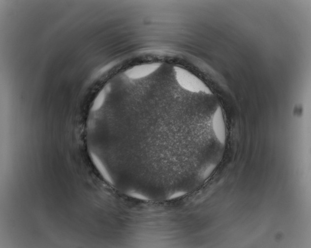 X0000100420822200807032059