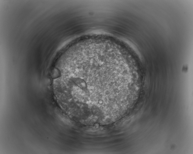 X0000100420823200807032059