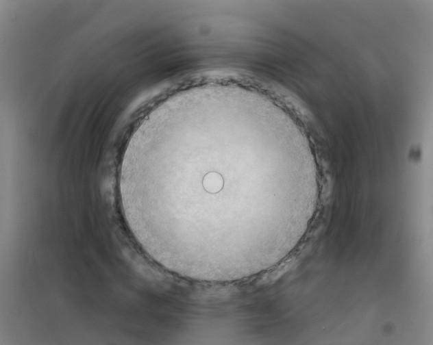 X0000100420824200807032059