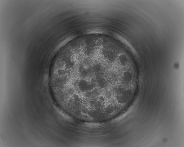 X0000100420825200807032059