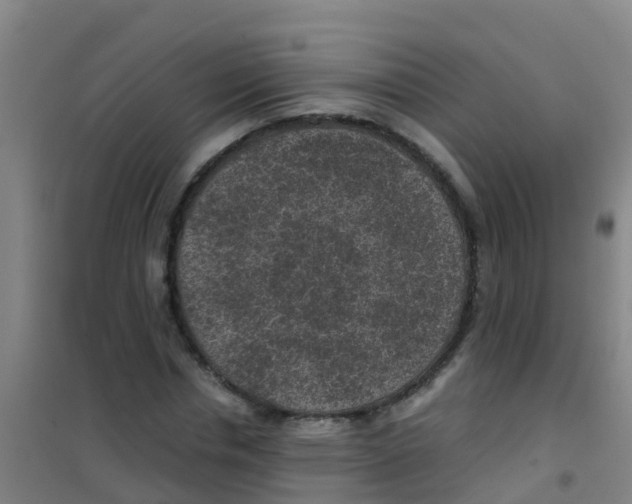 X0000100420826200807032059