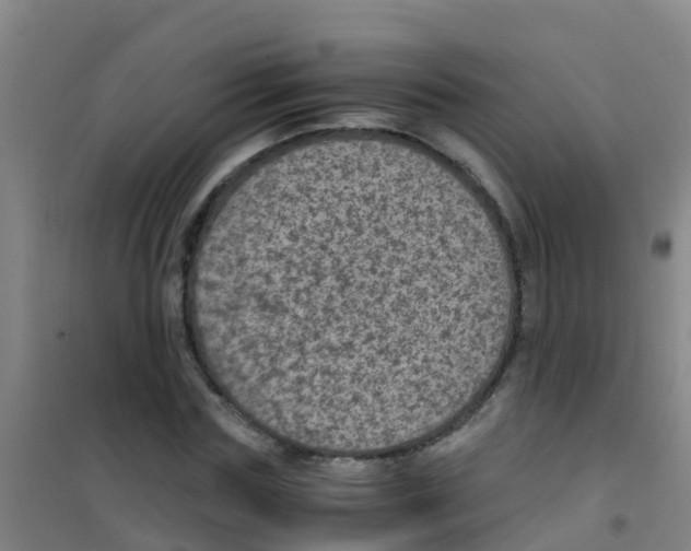 X0000100420827200807032059