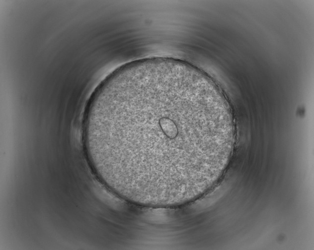 X0000100420828200807032059