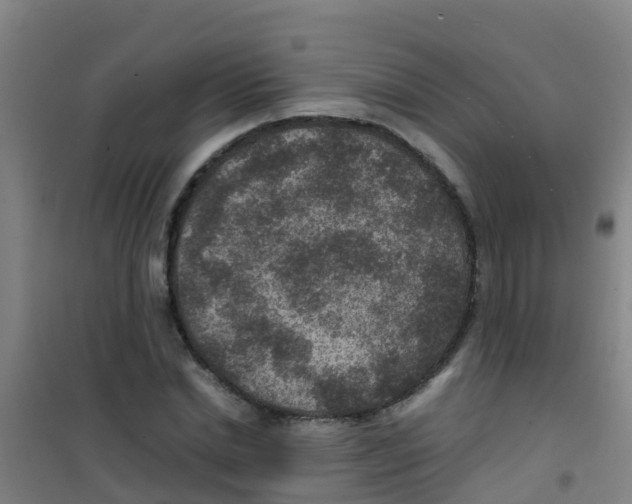 X0000100420830200807032059